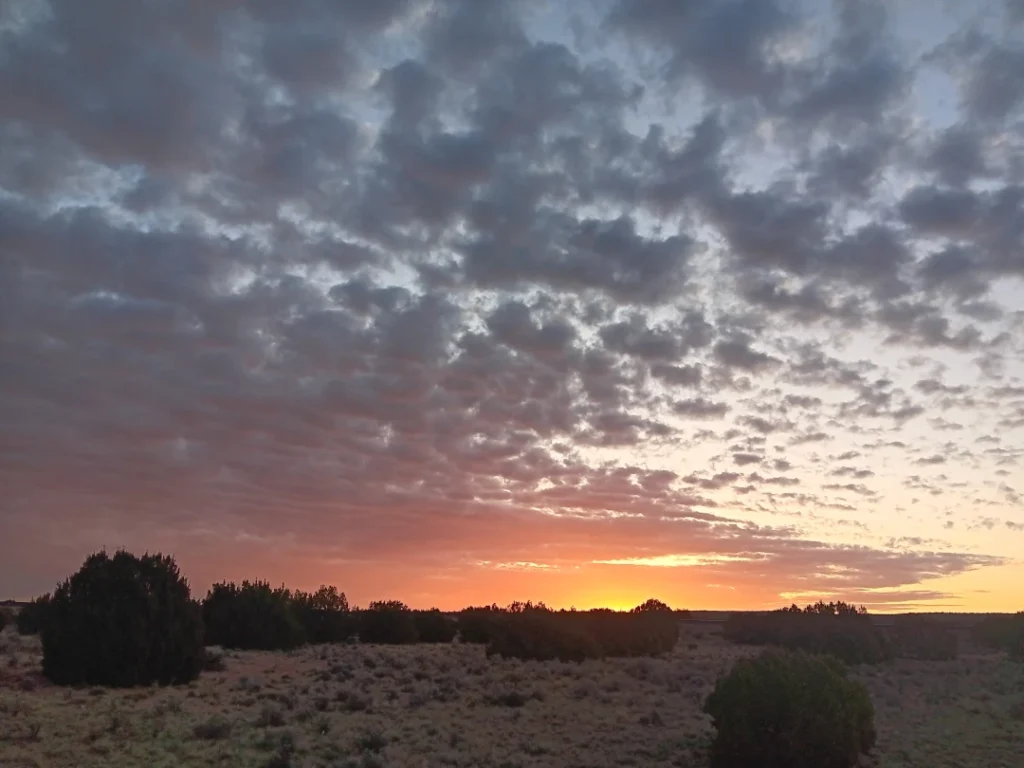 Homesteading in Northeast Arizona